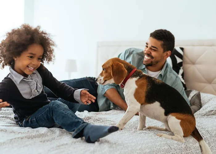 Aparthotel Citadines Antigone Montpellier